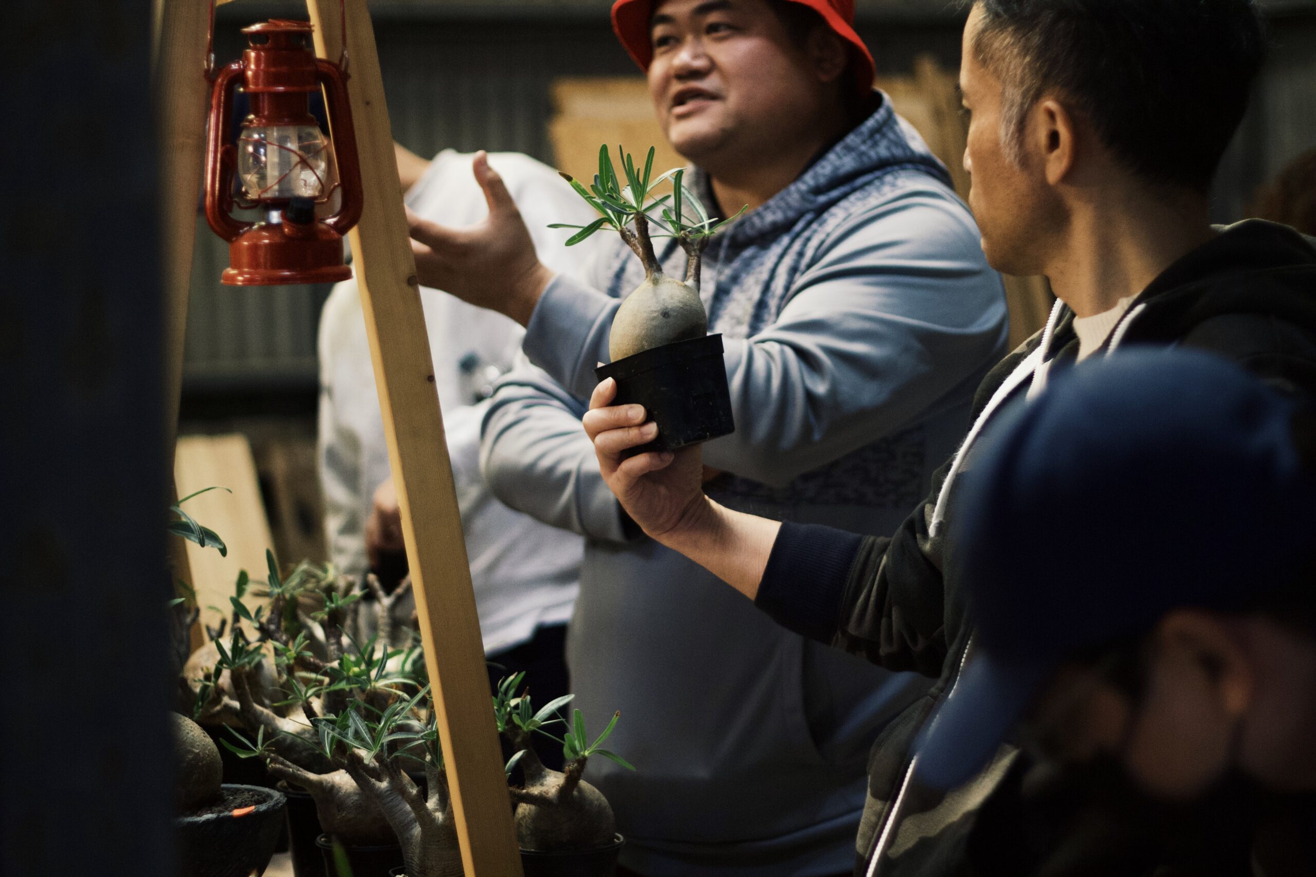 Processed with VSCO with g3 preset