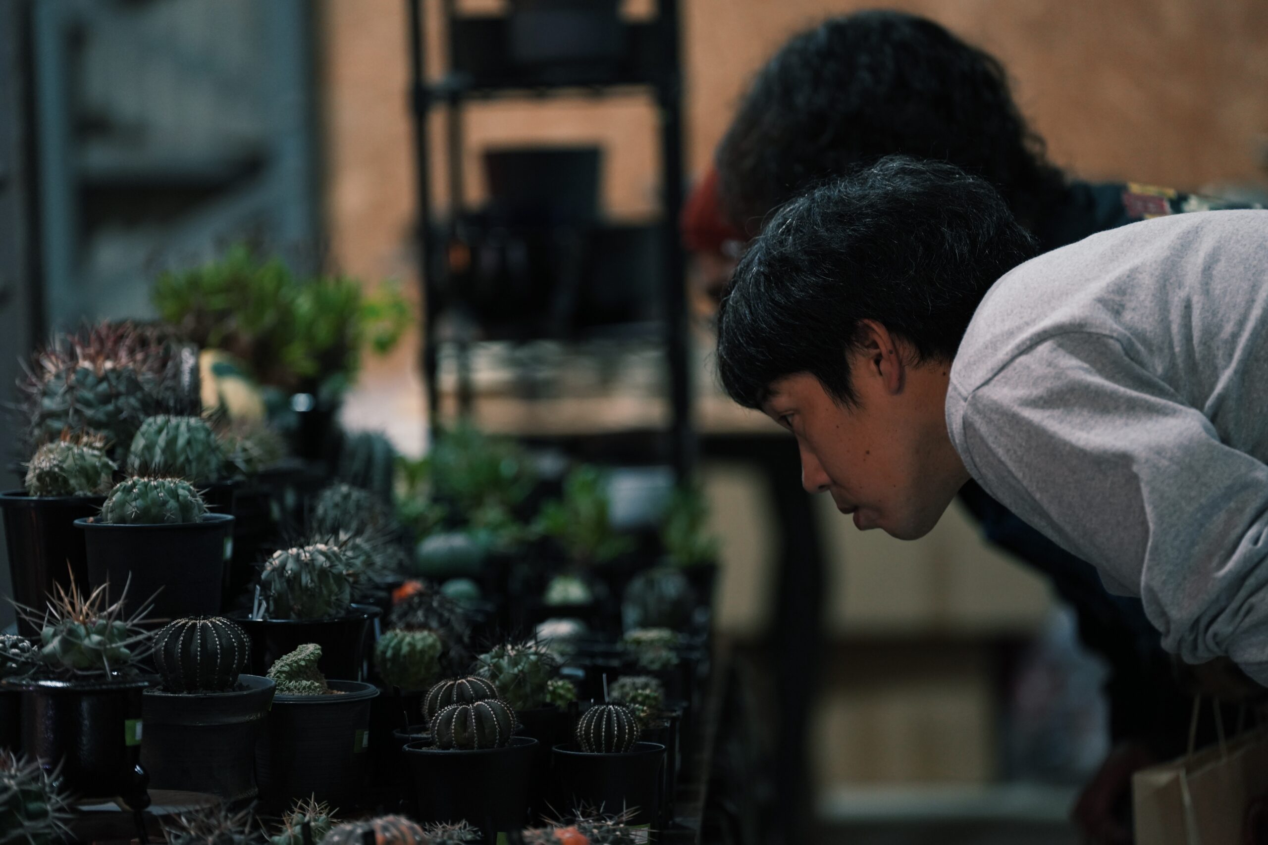 Processed with VSCO with j4 preset