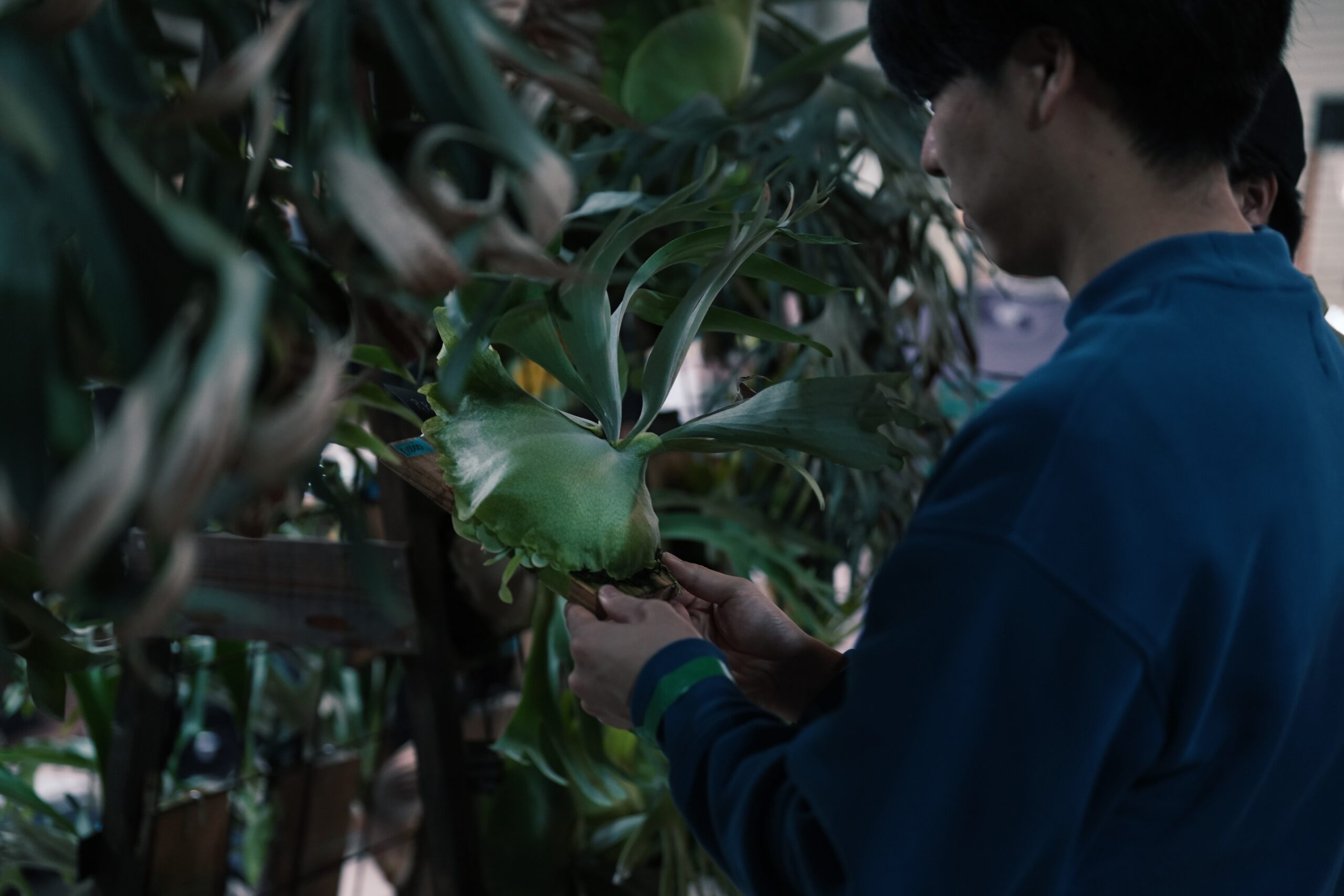 Processed with VSCO with j4 preset